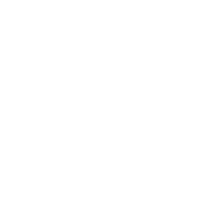 Desenvolvimento Low Code