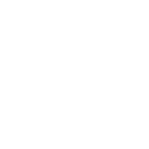 Plataformas Digitais e Aceleradores